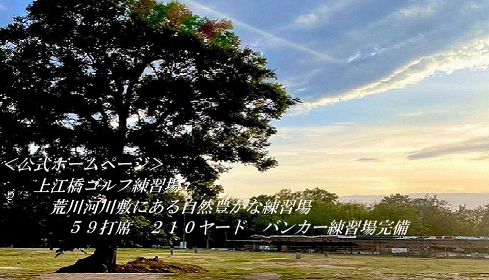 上江橋ゴルフ練習場大木